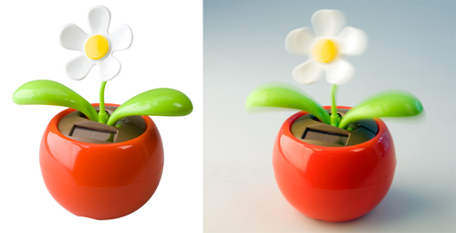 floare Samba